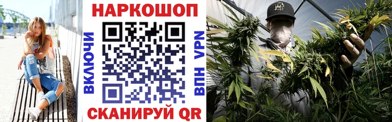 Цена Петрозаводск Псилоцибиновые грибы  Codein  СОЛЬ  Амфетамин  ОМГ ОМГ ссылка  ГАШИШ 
