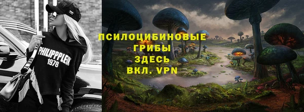 гидропоника Алексеевка