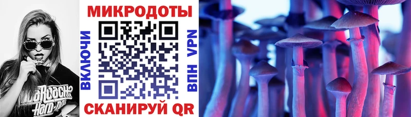 Галлюциногенные грибы мицелий  купить наркотик  Петрозаводск 